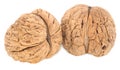 Two walnuts, isolated on white background Royalty Free Stock Photo