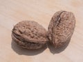 Two walnuts Royalty Free Stock Photo