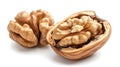 Two walnuts in shell on white background Royalty Free Stock Photo