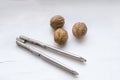 Two walnuts Royalty Free Stock Photo