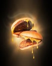 Two warmed cheeseburger with hot steam in the dark Royalty Free Stock Photo