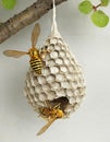 Two wasps hover near a textured, grey wasp nest hanging from a branch with green leaves. The background is muted and light