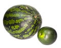 Two water-melons of various grades - big and dwarfish Royalty Free Stock Photo