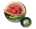 Two water-melons of various grades - big and dwarfish,small depth of sharpness, focus on a crust of a big water-melon Royalty Free Stock Photo
