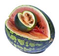 Two water-melons of various grades - big and dwarfish Royalty Free Stock Photo