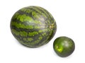 Two water melons on a white background, big and small, dwarfish version