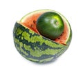 Two water melons on a white background, big and small, dwarfish version Royalty Free Stock Photo