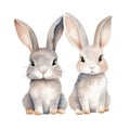 Two watercolor grey rabbits isolated on white background