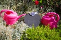 Two watering cans with a heart in the garden, hobby gardener