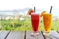 Two watermelon and mango smoothies stand on a background of green trees Royalty Free Stock Photo