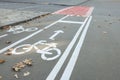 Two way bicycle lane with white signs on asphalt Royalty Free Stock Photo