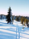 Two ways for cross country skiing in winter mountains.