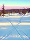 Two ways for cross country skiing in winter mountains.