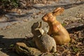 Two weathered terracotta rabbit figurines, one with angel wings, sit in a raised garden bed outdoors