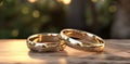 two wedding bands with light of brio Royalty Free Stock Photo