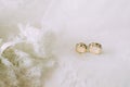 Two wedding gold rings on beautiful white tulle with lace garter close Royalty Free Stock Photo