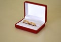 Two wedding gold rings in a red velvet box Royalty Free Stock Photo