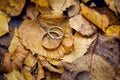 Two wedding Golden rings