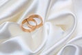 Two wedding rings Royalty Free Stock Photo