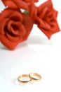 Two wedding rings Royalty Free Stock Photo
