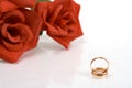 Two wedding rings Royalty Free Stock Photo