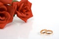 Two wedding rings Royalty Free Stock Photo