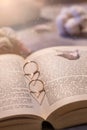 Two wedding rings on the book. shadow in the form of a heart