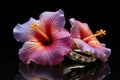 two wedding rings on a bud of a brilliantly colored hibiscus