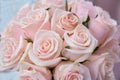 Two wedding rings on colorful bouquet pink roses, close up Royalty Free Stock Photo