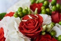 Two wedding rings on colorful bouquet of white and red roses, close up Royalty Free Stock Photo