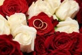 Two wedding rings on colorful bouquet of white and red roses, close up Royalty Free Stock Photo