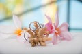 Two wedding rings on coral Royalty Free Stock Photo