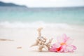 Two wedding rings on coral in front of the seaside Royalty Free Stock Photo