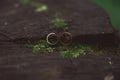 Two wedding rings in infinity sign. Love concept. Very small dep Royalty Free Stock Photo