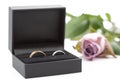 Two wedding rings in a jewelry box on white Royalty Free Stock Photo