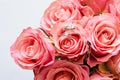 Two wedding rings placed on the bouquet of pink roses Royalty Free Stock Photo