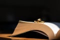 Two wedding rings are placed on the open Bible placed on the table as wedding rings prepared for lovers to wear and read Bible Royalty Free Stock Photo