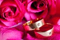 Two wedding rings with red rose Royalty Free Stock Photo