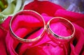 Two wedding rings on red rose flower Royalty Free Stock Photo