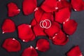 Two wedding rings on red rose petals Royalty Free Stock Photo