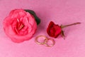 Two wedding rings, red rose and pink camellia flower Royalty Free Stock Photo