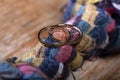 Two wedding rings on a rope knot and wood as a symbol of eternal love