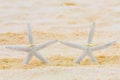 Two wedding rings with two starfish on a sandy tropical beach. W Royalty Free Stock Photo