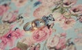 Two wedding rings of white gold on a blue butterflies metal box Royalty Free Stock Photo
