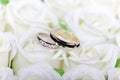 Wedding white roses engagement gold jewelry couple rings ring romance rose love bride bridal marriage ceremony married anniversary