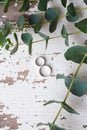 Two wedding rings on a white table with old eucalyptus branches Royalty Free Stock Photo