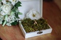 Two wedding rings in a wooden box with a moss plant with sunlight