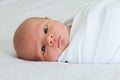 Two week old newborn bundled on bed