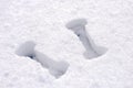 Two Weights Under Snow Royalty Free Stock Photo
