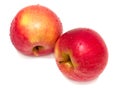 Two wet apples Royalty Free Stock Photo